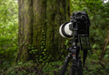 Noua cameră Sony Electronics α7R V oferă o nouă experiență de înaltă rezoluție în domeniul imagisticii, cu autofocalizare bazată pe inteligența artificială