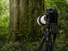 Noua cameră Sony Electronics α7R V oferă o nouă experiență de înaltă rezoluție în domeniul imagisticii, cu autofocalizare bazată pe inteligența artificială