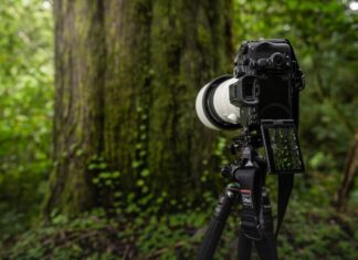 Noua cameră Sony Electronics α7R V oferă o nouă experiență de înaltă rezoluție în domeniul imagisticii, cu autofocalizare bazată pe inteligența artificială