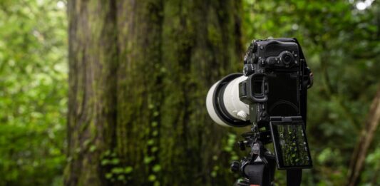 Noua cameră Sony Electronics α7R V oferă o nouă experiență de înaltă rezoluție în domeniul imagisticii, cu autofocalizare bazată pe inteligența artificială