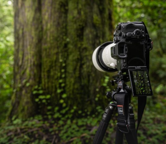 Noua cameră Sony Electronics α7R V oferă o nouă experiență de înaltă rezoluție în domeniul imagisticii, cu autofocalizare bazată pe inteligența artificială