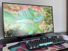 O privire detaliată asupra monitorului Philips 27B1U7903: Quantum Dot și Mini LED în lumina reflectoarelor