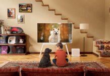 De la petreceri festive la sporturi de iarnă: tehnologia care te ajută să te bucuri de fiecare moment